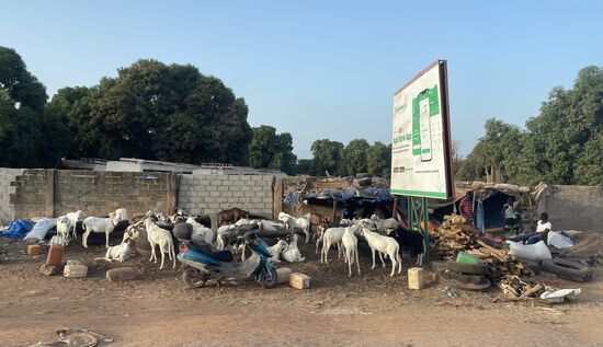 Ich schieße schonmal ein paar Fotos von den ersten Eindrücken