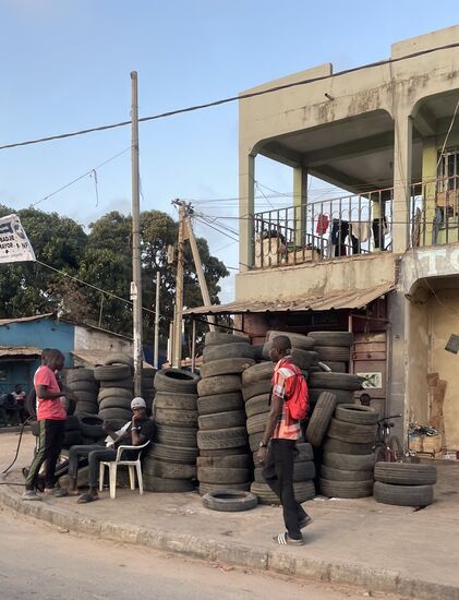 Die werden zu hunderten aus Europa importiert…