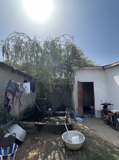 Auch hier ist wieder ein Baobab-Baum. Den Früchten sagt man eine gewisse Heilkraft zu. Sie sollen den Blutdruck senken, aber auch bei Malaria-Erkrankung ein Helfer sein.