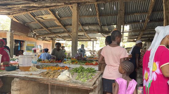 Die Marktstände werden fast ausnahmslos von Frauen beschickt. Diese Tätigkeit liegt in den Händen der Frau. In Gambia ist es übrigens Tradition, dass die Frauen mehr arbeiten als die Männer. Dafür gilt aber in diesem Land die Gütertrennung und Frauen erwerben somit auch einen eigenen Besitzstand. Sie behalten übrigens auch ihren Namen, während die Kinder den Namen des Vatern erhalten.