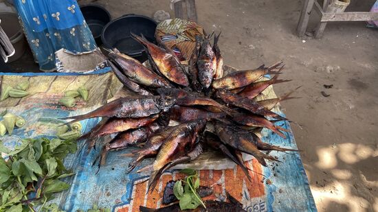 Diese kleinen geräucherten Fische gibt es immer, sie sind billig, aber auch voller feiner Gräten