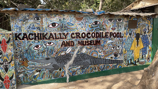 Heute steht die City-Tour Brufut und Banjul auf dem Programm. Als erstes besuchen  wir den Kachikally Crocodile Pool Park und das dazugehörige Museum.