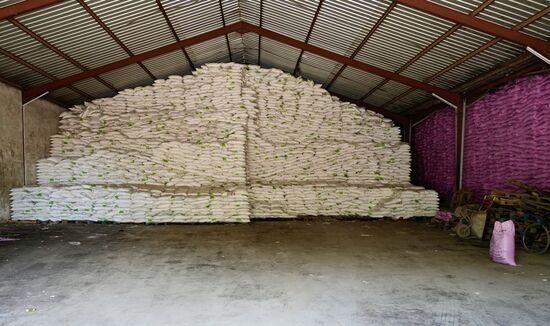 Wir kommen an Grönland Lagerhäusern vorbei und der Inhaber dieser Halle erzählt uns, dass in den Säcken Zucker sei. Wenn die Halle voll ist, lagern hier zwischen 85 und 90.000 Säcke,