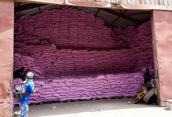 Auch in dieser Halle Unmengen an Säcken, gefüllt mit Reis