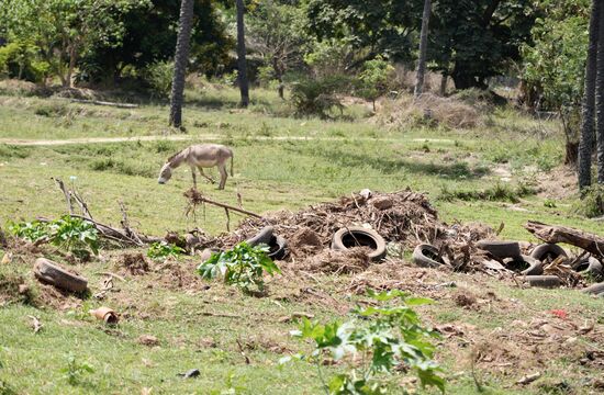 Unsere Citytour ist beendet und wir fahren zurück nach Brufut.