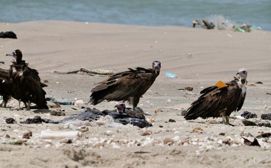 Erschreckend ist der viele Müll entlang des Flußufers. Es wird wohl noch viele Jahre dauern, bis man auch hier erkennt, dass unsere Erde nicht dauerhaft so behandelt werden darf. Doch Hunger und Armut und die Sorge, wie ernähre ich meine Familie verdrängen Gedanken an Umweltschutz. Zudem gibt es hier kein funktionierendes Abfallsystem.