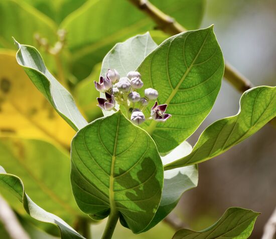 Ein Hobbyfotograf wird überall fündig