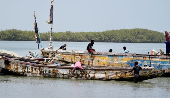 Wir beenden unseren Walk und fahren ein Stück weiter zum Grenzübergang nach Senegal. Hier trennt der Gambia-River die beiden Länder. Es gibt einen kleinen Fischereihafen und hier sehen wir, wie Fischer vom Fang zurück kommen und ausladen.