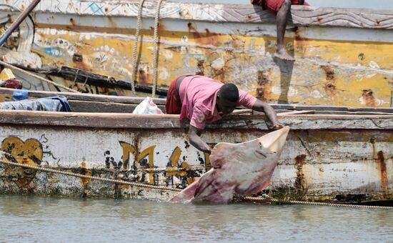 WOW - der Fang hat sich gelohnt!