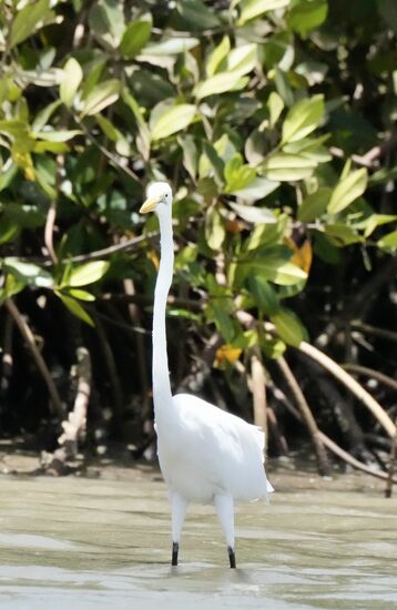 Der schaut ulkig in die Gegend…