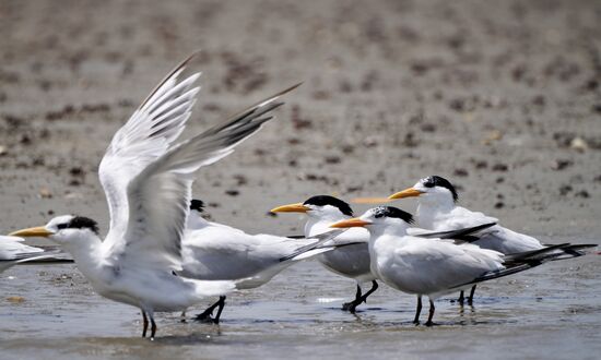 Hier kommt jetzt Bewegung hinein, als man uns bemerkt.
