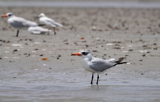 He, wartet auf mich - lasst mich nicht allein!