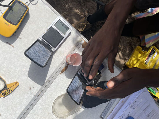 Und es wird auch gewogen. In einer kleinen „Filmdose“ geht es auf die Waage. Hier zeigte die Waage ganze 7,7 Gramm.