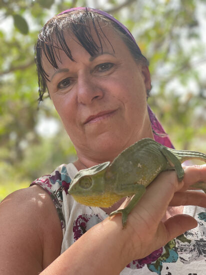 Treffen auf alte Bekannte: Chamäleon haben wir im letzten Jahr in Tansania sehr viele gesehen.