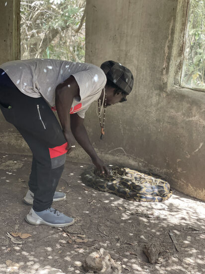 Dawda will unbedingt diese Python auf die Schultern nehmen, aber unsere Guide ist da nicht so von angetan. Die Schlange sei erst kurze Zeit hier und Dawda solle lieber eine andere nehmen.