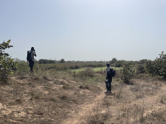 Hier wurde früher Sand abgebaut, heute ist dieses Gebiet eine Art Naturschutzgebiet.