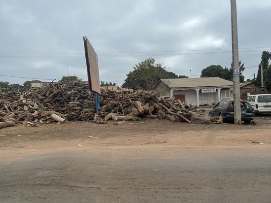 Es liegt eine lange Strecke vor uns und zuerst müssen wir uns durch den zähen Stadtverkehr quälen