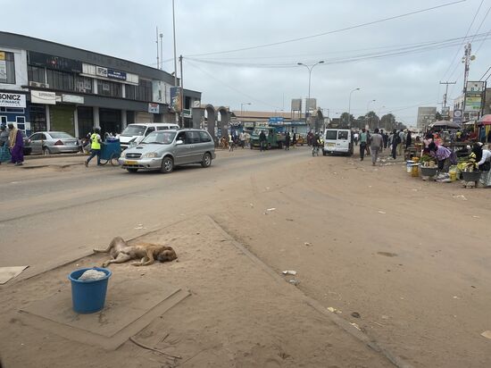 Da pennt aber einer gemütlich mitten auf der Kreuzung…