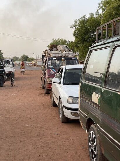 Die Schafe auf dem Dach haben es bestimmt nicht bequem..