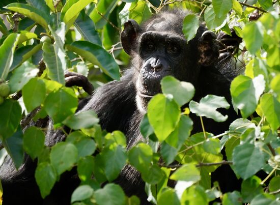 Andere heißen Christina und Kerstin….die anderen lustigen Namen habe ich leider vergessen