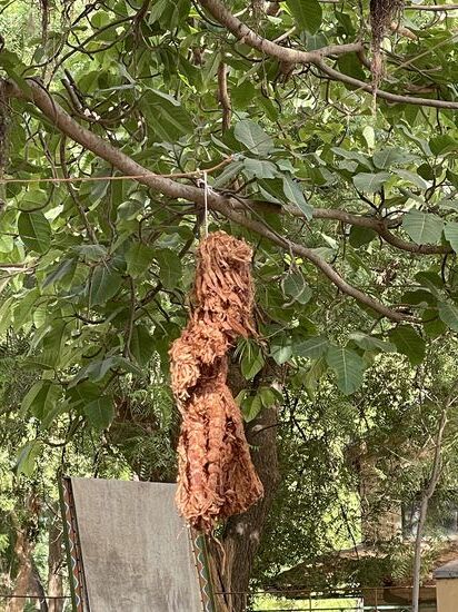 Das ist keine Voodoo-Puppe, sondern noch ein aktueller Glücksbringer der die Jungen bei ihrer Beschneidung schützen soll—ich denke, die hängt zufällig hier