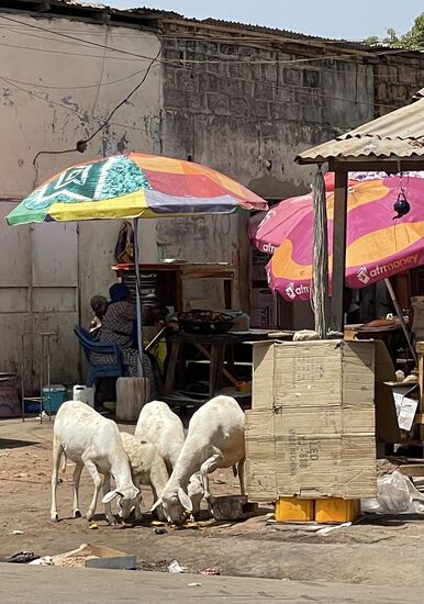 Lecker…Reste-Essen!