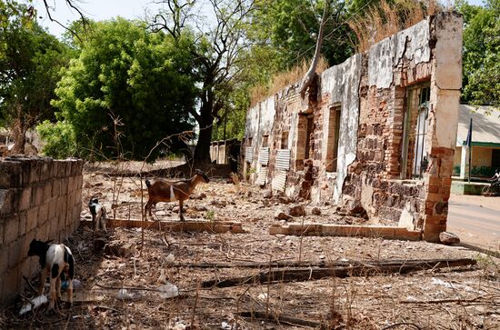 Jetzt  ist man sozusagen „in“ der Markthalle—