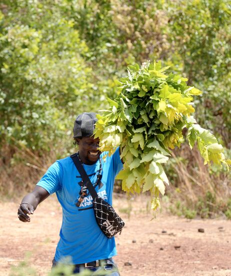 Er legt sie hinten ins Auto und bei der trocknen Hitze im Wagen  kann man beim Trocknen förmlich zuschauen! 