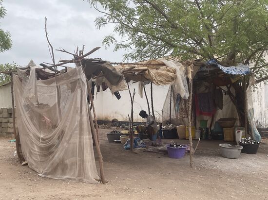 Es wird sortiert: die Großen Fleischstücke gehen an die Restaurants und die kleinen darf die Bevölkerung erwerben