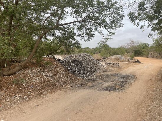 Unglaublich viele Berge von Austernschalen liegen hier überall