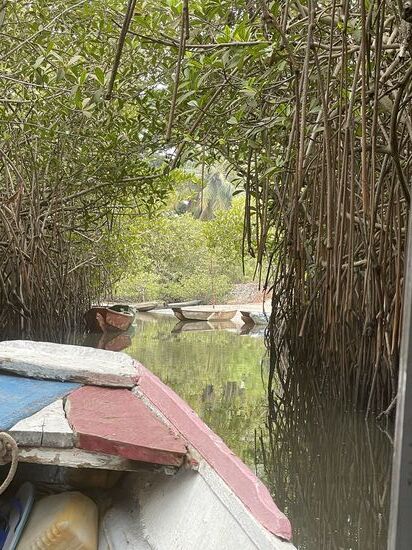 Dies ist der sogenannte „Mangroventunnel“, der zum Flußdelta führt…