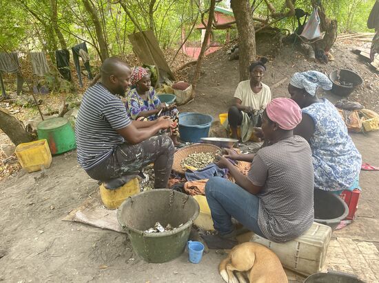 Dawda kauft für 200 GMD Austernfleisch- dafür bekommt er eine riesige Portion von der 1. Sorte