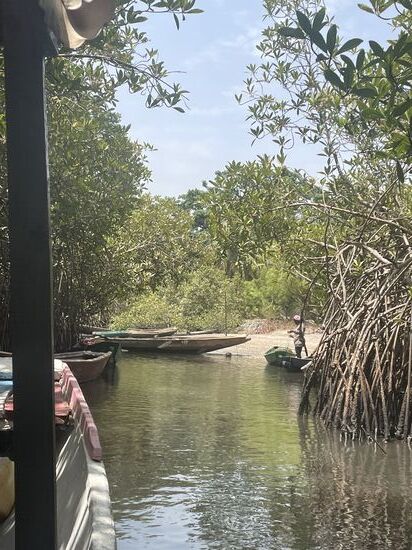 Wir fahren wieder zurück….