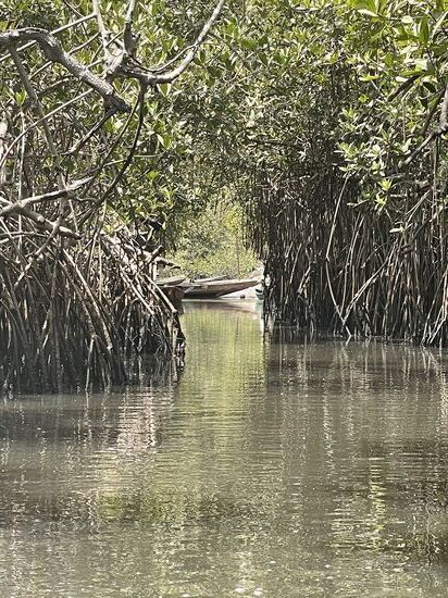 Tschüss!! Übrigens hier wird ohne Motor gefahren—nur gerudert!