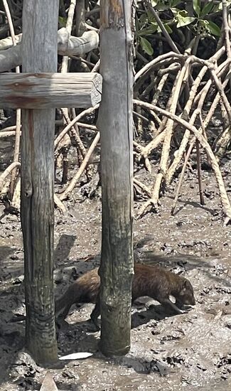 Was sucht der denn da?