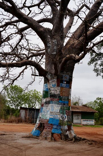 Der „Internetbaum“ hier darf Werbung gemacht werden