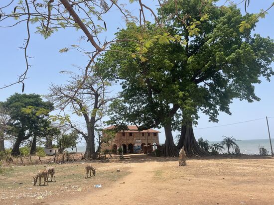 Wir sind hier in Albreda mit dem Boot gestartet
Hier gibt es auch ein kleines Restaurant und wir bestellen uns hier Fisch, wenn wir wieder zurück kommen soll er fertig sein—der war übrigens köstlich!!