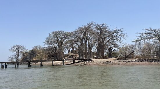 Das Eiland ist eine kleine Binneninsel im Fluss Gambia-wie schon erwähnt, trägt sie den Namen erst seit 2011 und ist 30km vom Festland entfernt