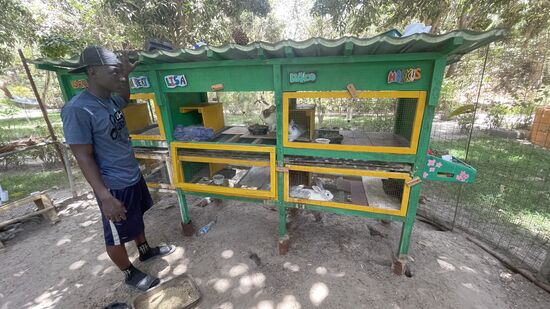 Man hat hier alle möglichen Tiere, deren Produkte man auch verkauft