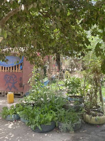 Viele Gemüsepflanzen die auch verkauft werden. Man produziert hier Honig von eigenen Bienen, Marmeladen und viele verschiedene Cremes, Seifen und Tees.
Alles wird verkauft