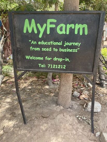 Dann besuchen wir noch das folgende Projekt: Vom Samen zum Business.
Viele Volontäre unterstützen hier-iniziiert wurde es von einer Europäerin-wir wissen aber nicht, aus welchem Land sie kommt—der Besuch lohnt sich nicht so wirklich für uns