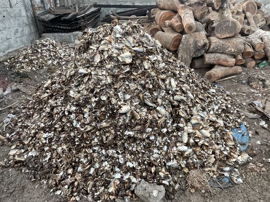 Berge von Fischreste liegen hier…ich brauche wohl nicht zu sagen, wie es hier riecht…