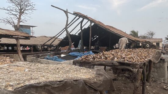 Roher Fisch und auch geräucherter Fisch.