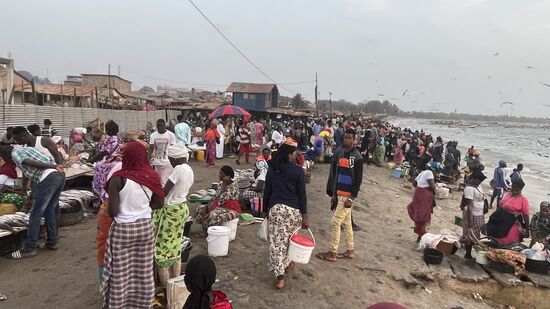 Auch uns wird immer wieder Fisch angeboten, aber Dawda wimmelt alle auf seine nette Art ab: „next time…“