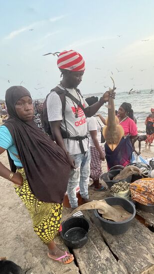 Was ist das für ein Fisch?