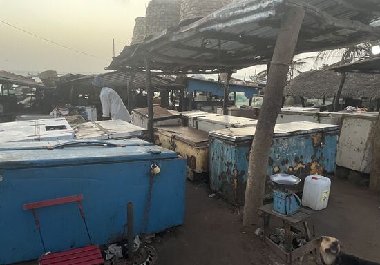 Wieder viele Kühltruhen und Kühlschränke..