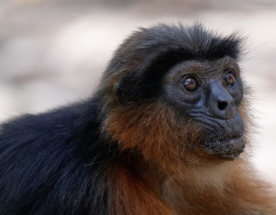 Das könnte man fast als Passfoto nehmen..