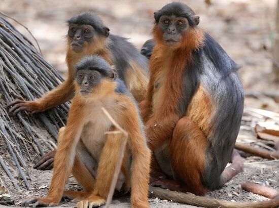 Tschüühüss…und danke für euren Besuch!!