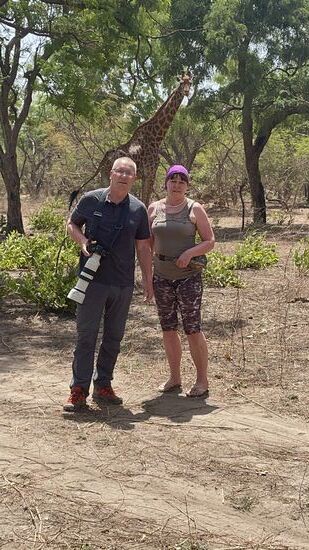 Dann sind die Giraffen dran. Hier scheinen alle Tiere bereit zu stehen -bzw haben wohl ihren Platz