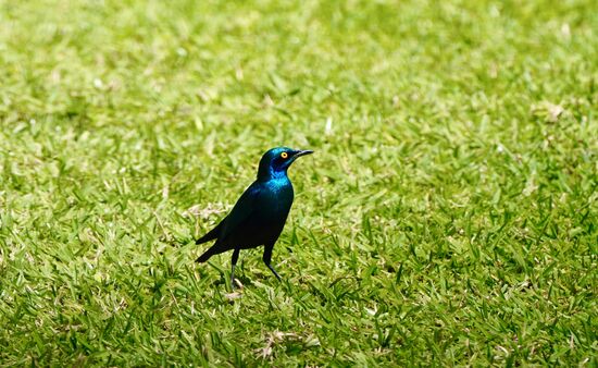 Nach einer guten Stunde sind wir durch und nun wird uns Arms noch zur „Feel Free Lodge“ bringen. Es ist gerade mal Mittag